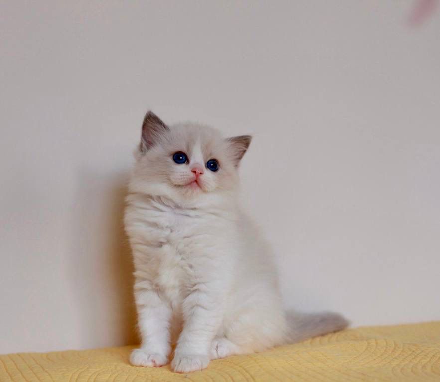 WhatsApp Image 2026-03-31 at 12.09.57 (2)