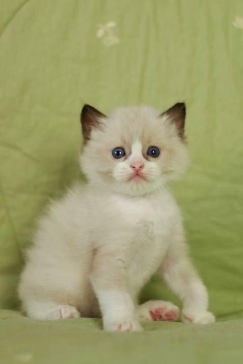 WhatsApp Image 2026-04-03 at 15.48.35