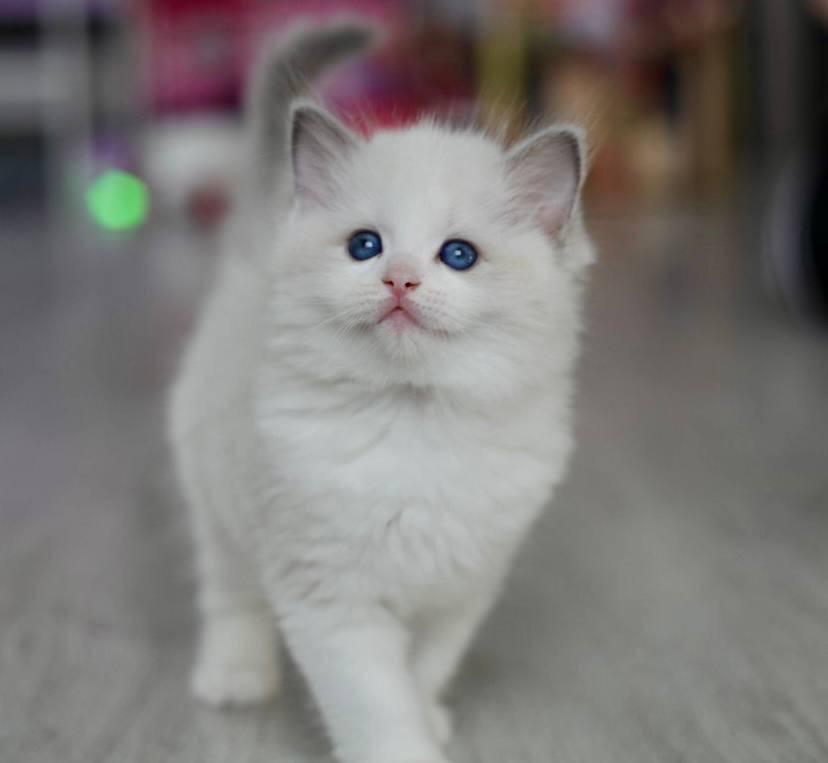 WhatsApp Image 2026-04-03 at 15.48.36 (1)