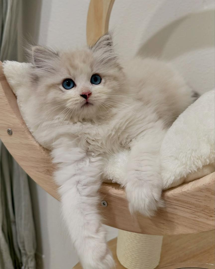 WhatsApp Image 2026-04-03 at 16.19.46 (2)