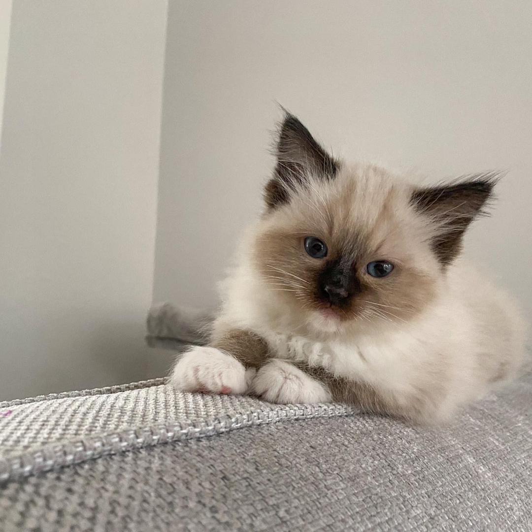 WhatsApp Image 2026-04-03 at 16.19.46